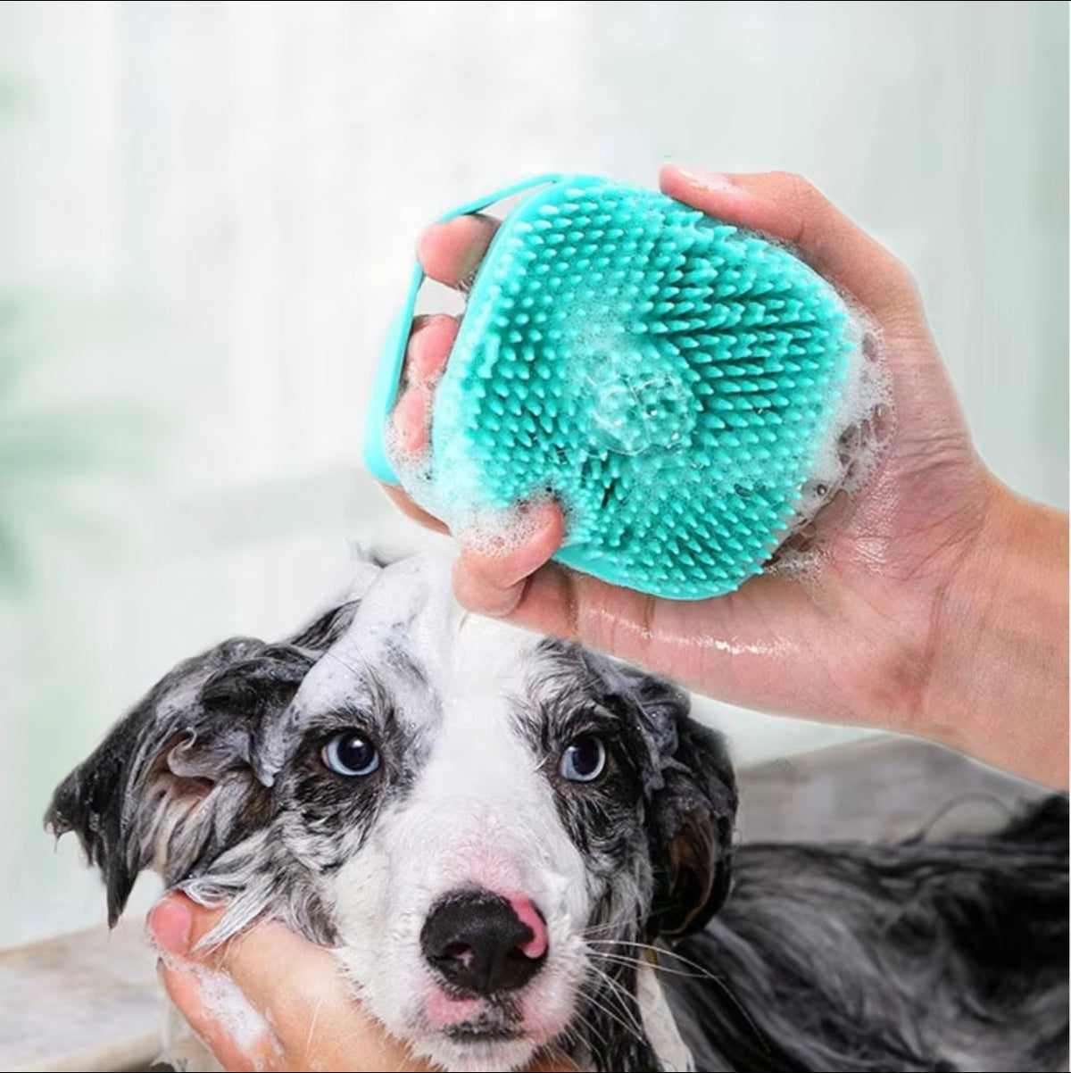 Silicone Pet Bath Brush – Scrub, Massage & Shine for Dogs & Cats